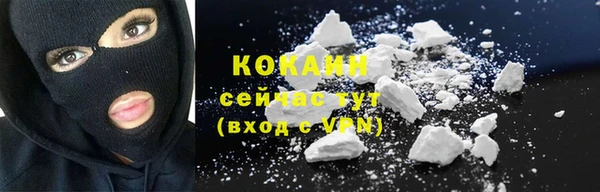 гашик Белокуриха