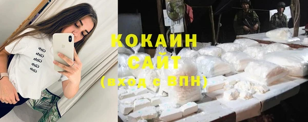 гашик Белокуриха