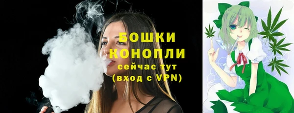 гашик Белокуриха