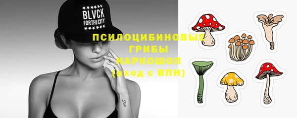 гашик Белокуриха