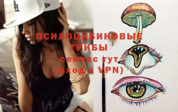 гашик Белокуриха