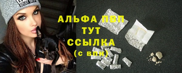 гашик Белокуриха
