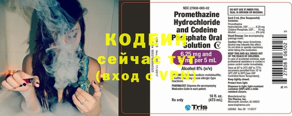 гашик Белокуриха