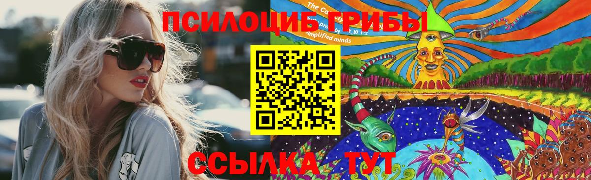 Галлюциногенные грибы Magic Shrooms  Вход с VPN  Псилоцибиновые грибы Psilocybe  Соль-Илецк 